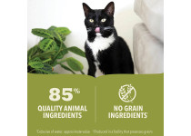 Acana Cat Premium Pate Beef Recipe 85 gram blikvoeding