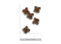 Amanova Low Grain Kitten Exquisite Chicken Kattenbrokken