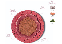 Amanova P11 Tasty Salmon & Turkey 85 gram natvoeding