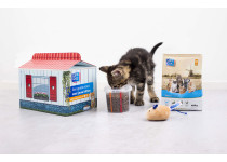 CaroCroc Kittenpakket