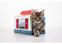 CaroCroc Kittenpakket