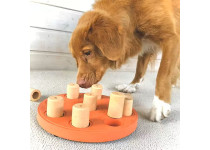 Nina Ottosson Dog Smart Composite Voerspeelgoed Level 1