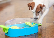 Nina Ottoson Paw 'n Play Voerspeelgoed Level 2