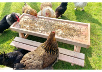 Petlando Chicknick Tafel