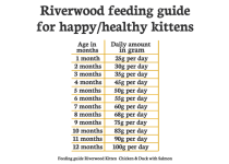 Riverwood Kitten Kip & Eend met Zalm