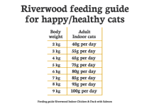 Riverwood Indoor Kip & Eend met Zalm kattenbrokjes