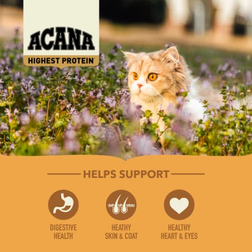Acana Highest Protein Cat Wild Prairie Kattenbrokken