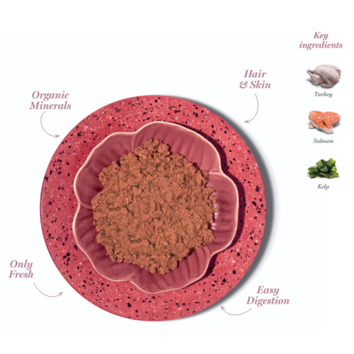 Amanova P11 Tasty Salmon & Turkey 85 gram natvoeding