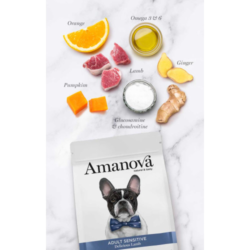 Amanova Grain Free Adult Sensitive Delicious Lamb Hondenbrokken