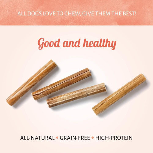 Buffelstang kort 13 cm hondenkluif 20 pcs