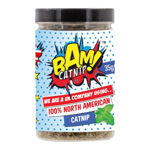 BAM! Catnip