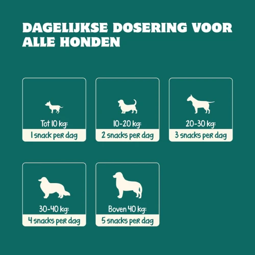 Bobiotics Probiotica Maag & Darm (vleesvrij) 60 snoepjes