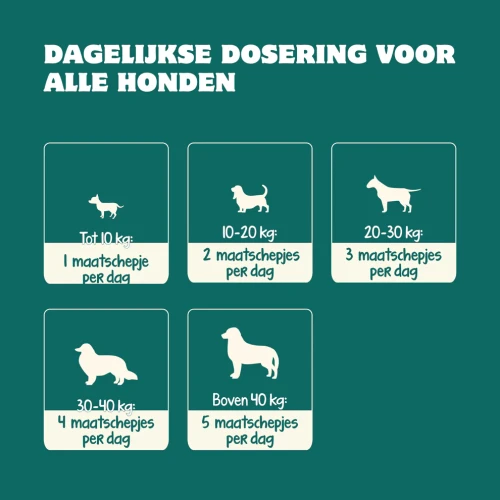 Bobiotics Frisse Adem & Gebit poeder (vleesvrij) 60 schepjes