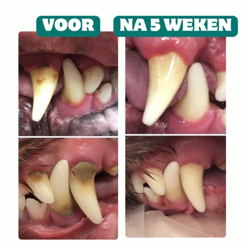 Bobiotics Frisse Adem & Gebit poeder (vleesvrij) 60 schepjes