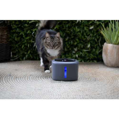 Aquabella drinkfontein anthracite 2,5 liter