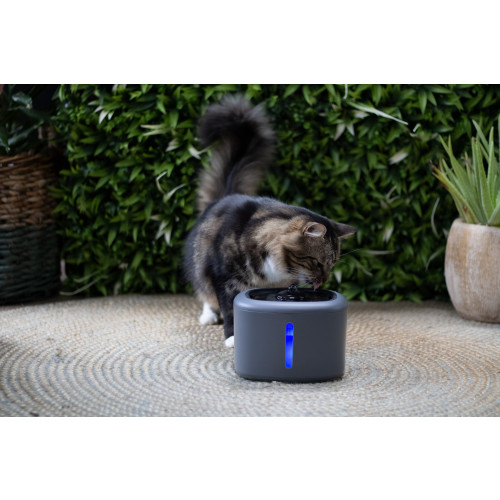 Aquabella drinkfontein anthracite 2,5 liter