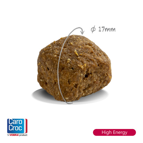 CaroCroc High Energy Hondenbrokken
