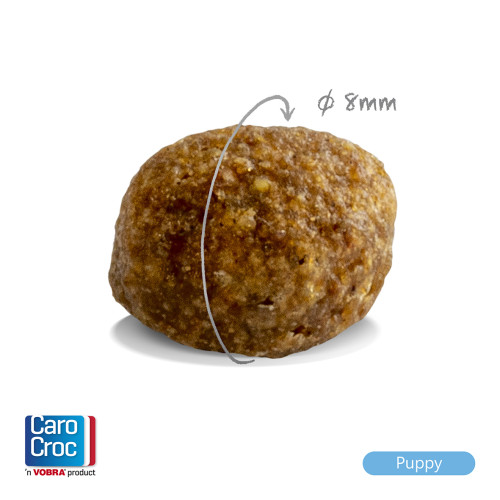 CaroCroc Puppy Small/Medium Hondenbrokken