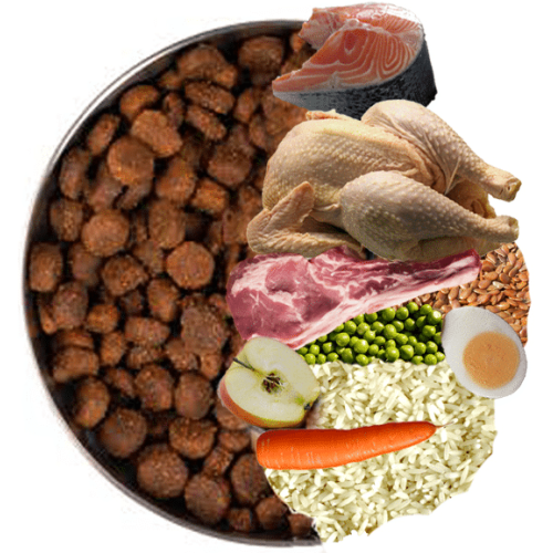 Dog Lovers Gold Original