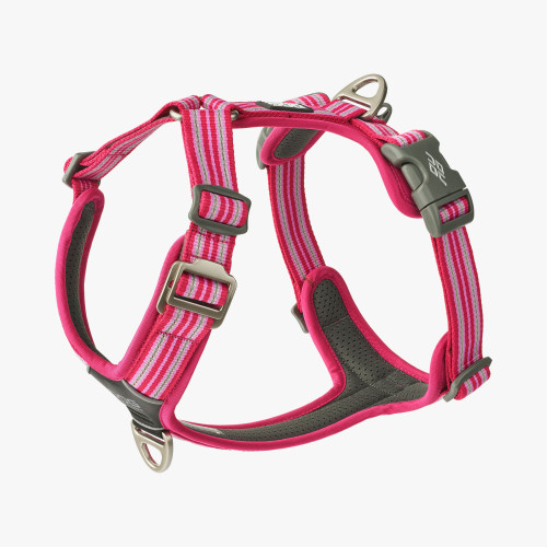 Dog Copenhagen Comfort Walk Air Harness Wild Rose 3.0