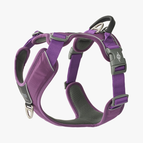 Dog Copenhagen Comfort Walk Pro Harness Purple Passion 3.0