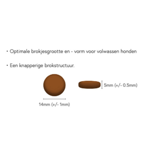 DoodleFood Adult Verse Lam Graanvrij 12 kilo