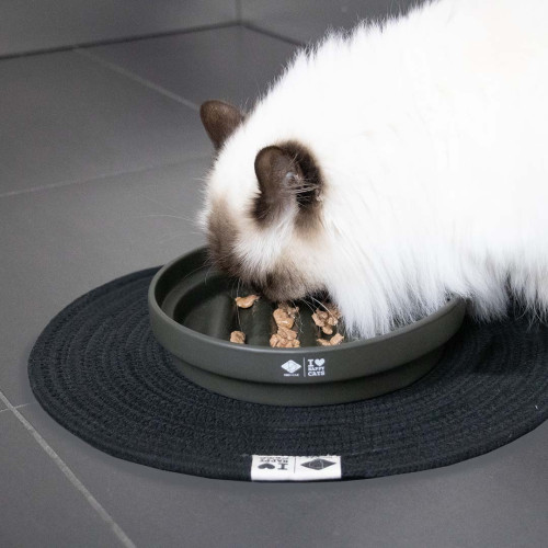 D&D Home I Love Happy Cats Slow Down Feeder Sue Doolhof groen