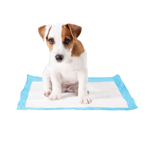 Duvo P-Pad Medium 30 x 45 cm Puppypad
