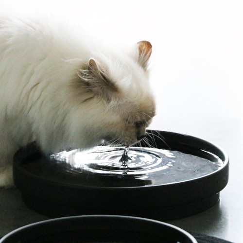 D&D Home I Love Happy Cats voer & waterbak Ace