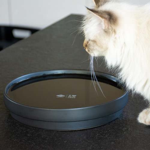 D&D Home I Love Happy Cats voer & waterbak Ace