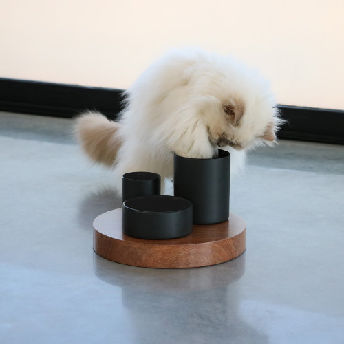 D&D Home I Love Happy Cats Slow Down Feeder Iggy