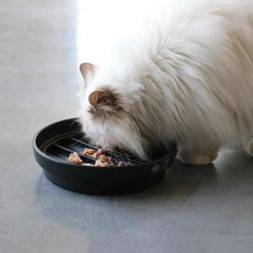 D&D Home I Love Happy Cats Slow Down Feeder Sue Golf Zwart