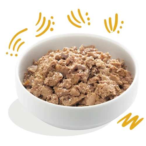 Edgard Cooper Hondenvoer kuip Adult Bio Turkey