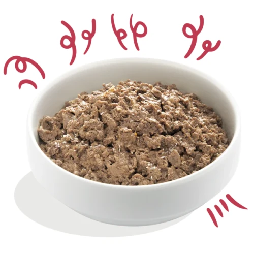 Edgard Cooper Hondenvoer kuip Adult Bio Beef