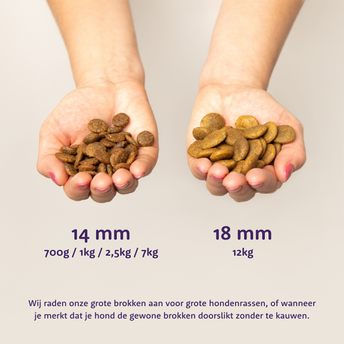 Edgard & Cooper Zalm Adult Hondenbrok