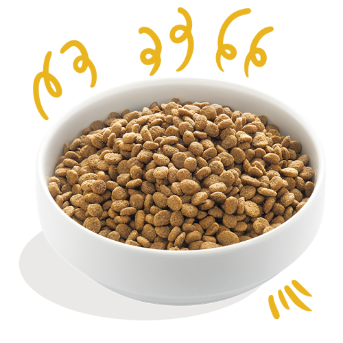 Edgard & Cooper Bio Kalkoen & Bio Kip Adult Hondenbrok