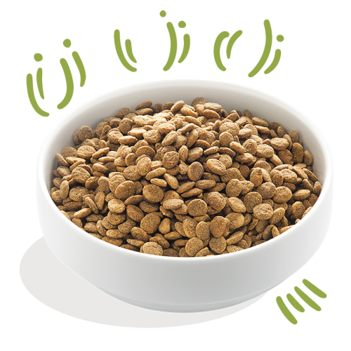 Edgard & Cooper Lam Adult Hondenbrok