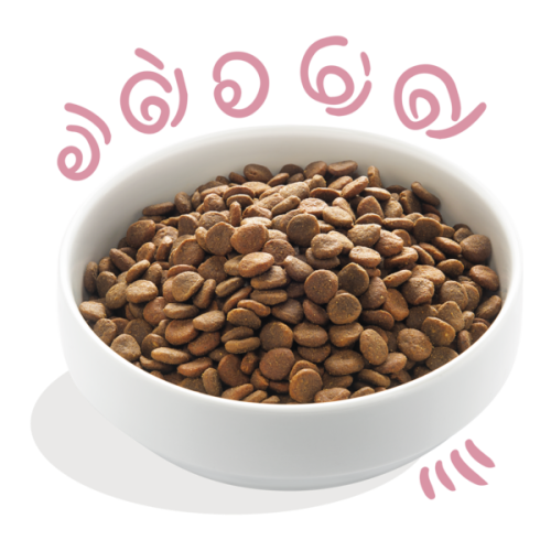 Edgard & Cooper Eend & Kip Puppy Hondenbrok