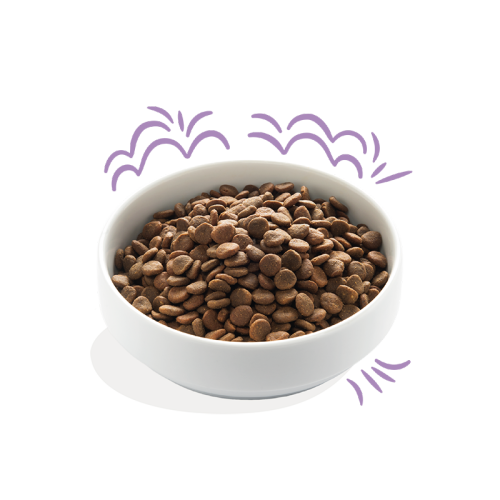 Edgard & Cooper Zalm & Kalkoen Puppy Hondenbrok