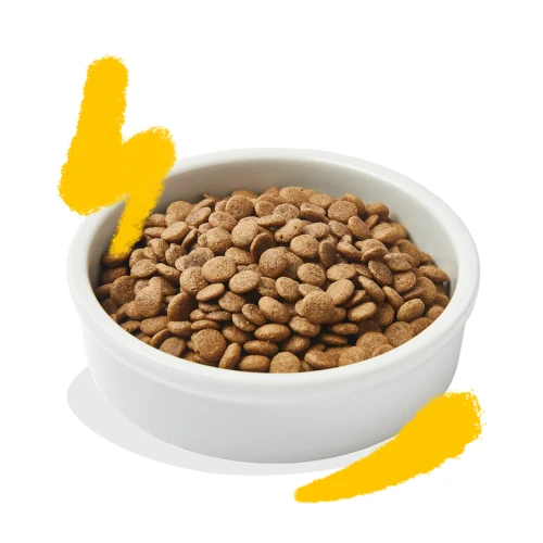 Edgard & Cooper Adult Turkey & Chicken Kattenbrokjes