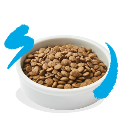 Edgard & Cooper Adult Salmon Kattenbrokjes