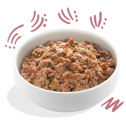 Edgard & Cooper Hondenvoer kuip Adult Zalm & Kalkoen