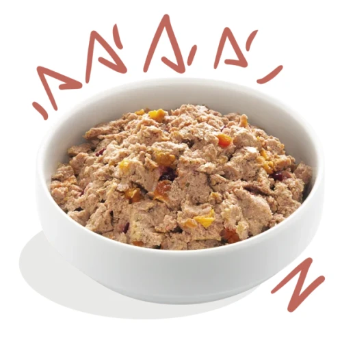 Edgard Cooper Hondenvoer kuip Senior Chicken & Salmon