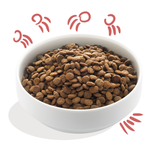 Edgard & Cooper Kip & Zalm Senior Hondenbrok