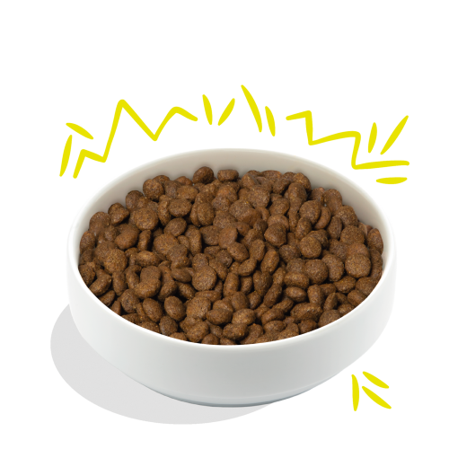 Edgard & Cooper Knapperige Wortel & Courgette Adult Vegahondenbrok