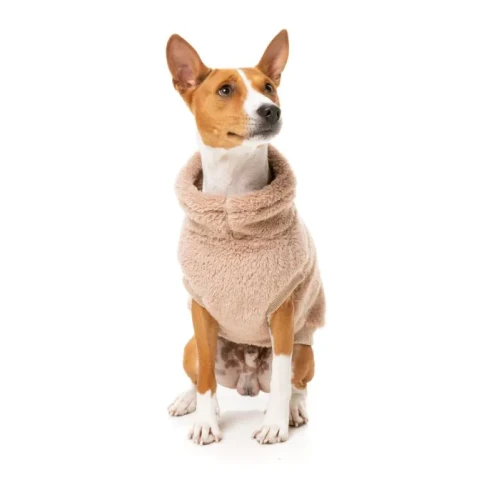 Fuzzyard Hondenjas Sweater Turtle Teddy Chai