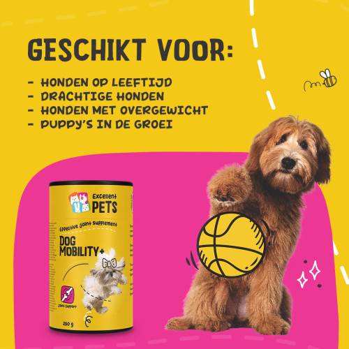 Excellent Dog Mobility Plus