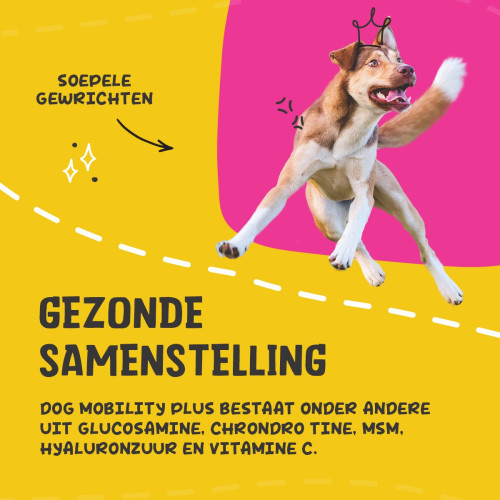 Excellent Dog Mobility Plus