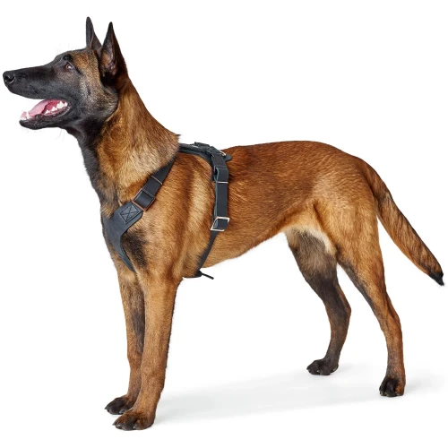 Hunter Maldon y-tuig 2020 duplicated duplicated