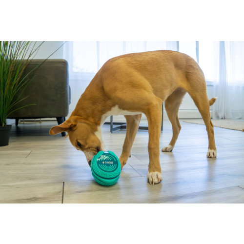 Kong Licks rewards likmat